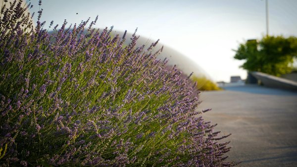 How Can Home Upgrades Improve Your Daily Life?